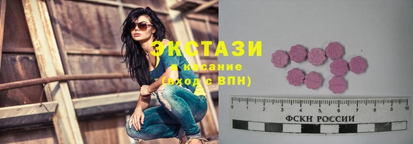 стаф Козловка