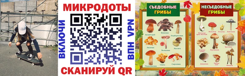 Псилоцибиновые грибы MAGIC MUSHROOMS  продажа наркотиков  мега онион  Людиново 